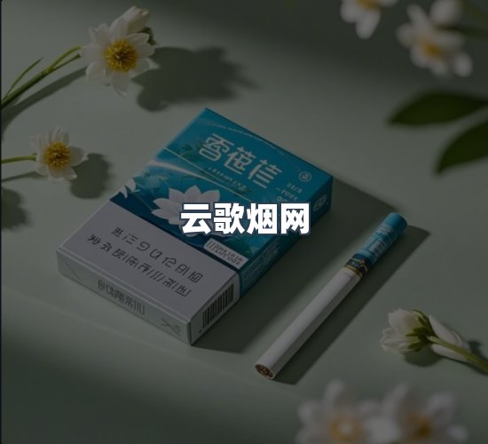 关于云歌烟网